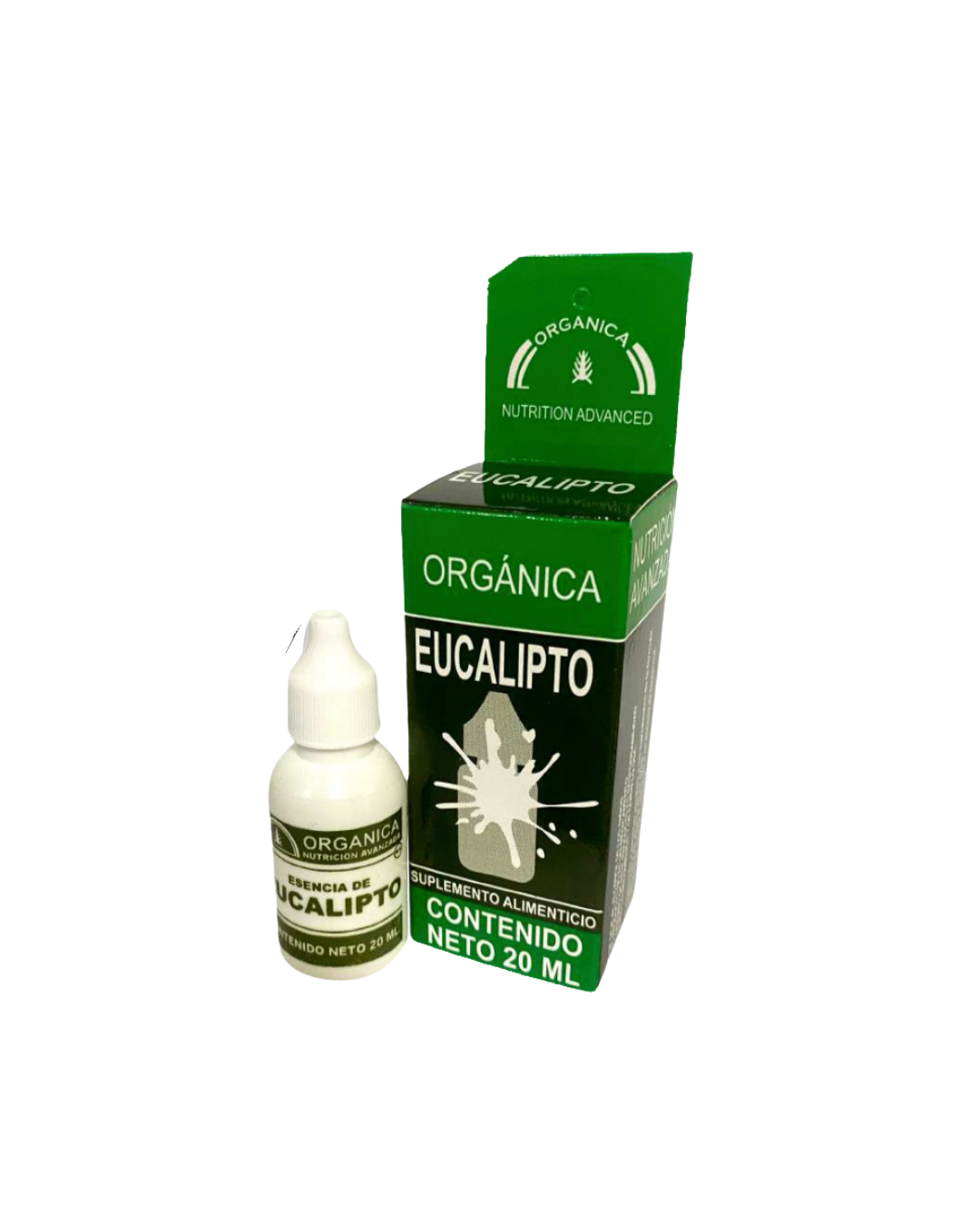 Eucalipto